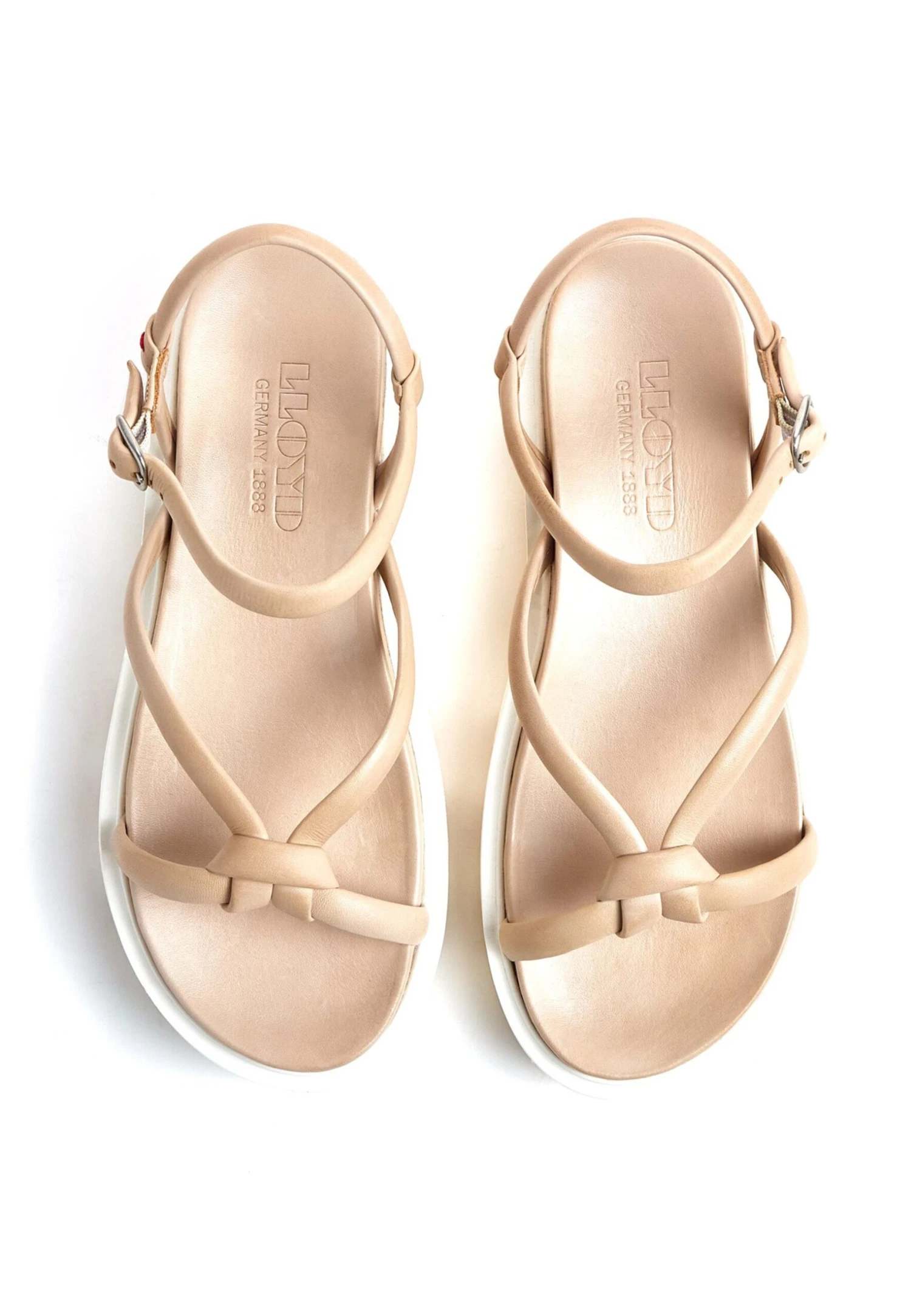 Lloyd Hochwertige - Sandali Con Plateau - Pastel 4 Lloyd Hochwertige - Sandali Con Plateau - Pastel - immagine 4