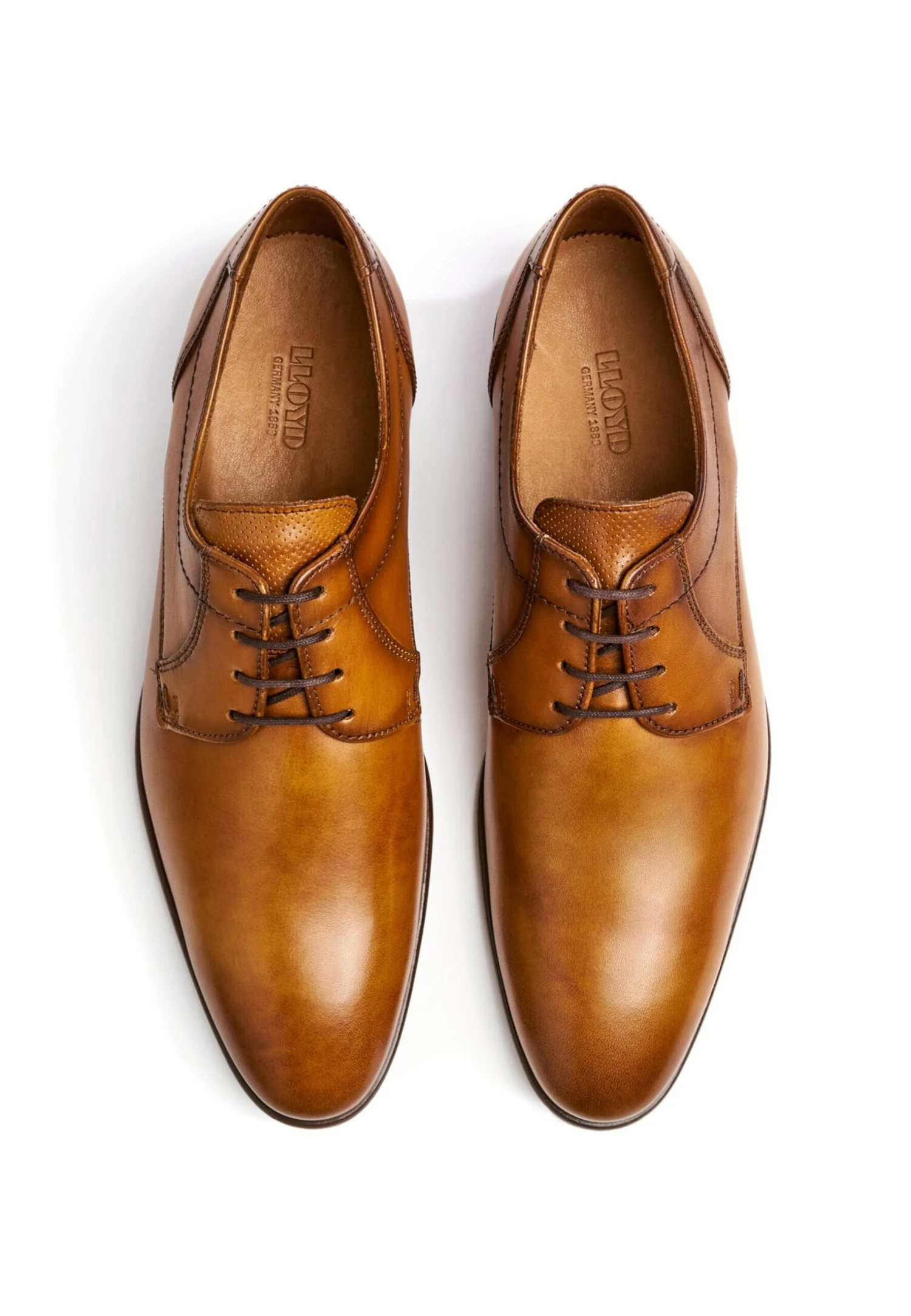 Lloyd Manon - Stringate Eleganti - Cognac 5 Lloyd Manon - Stringate Eleganti - Cognac - immagine 5