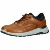 Lloyd Sneakers BasseCognac Uomo Sneaker LL112O07R-O11