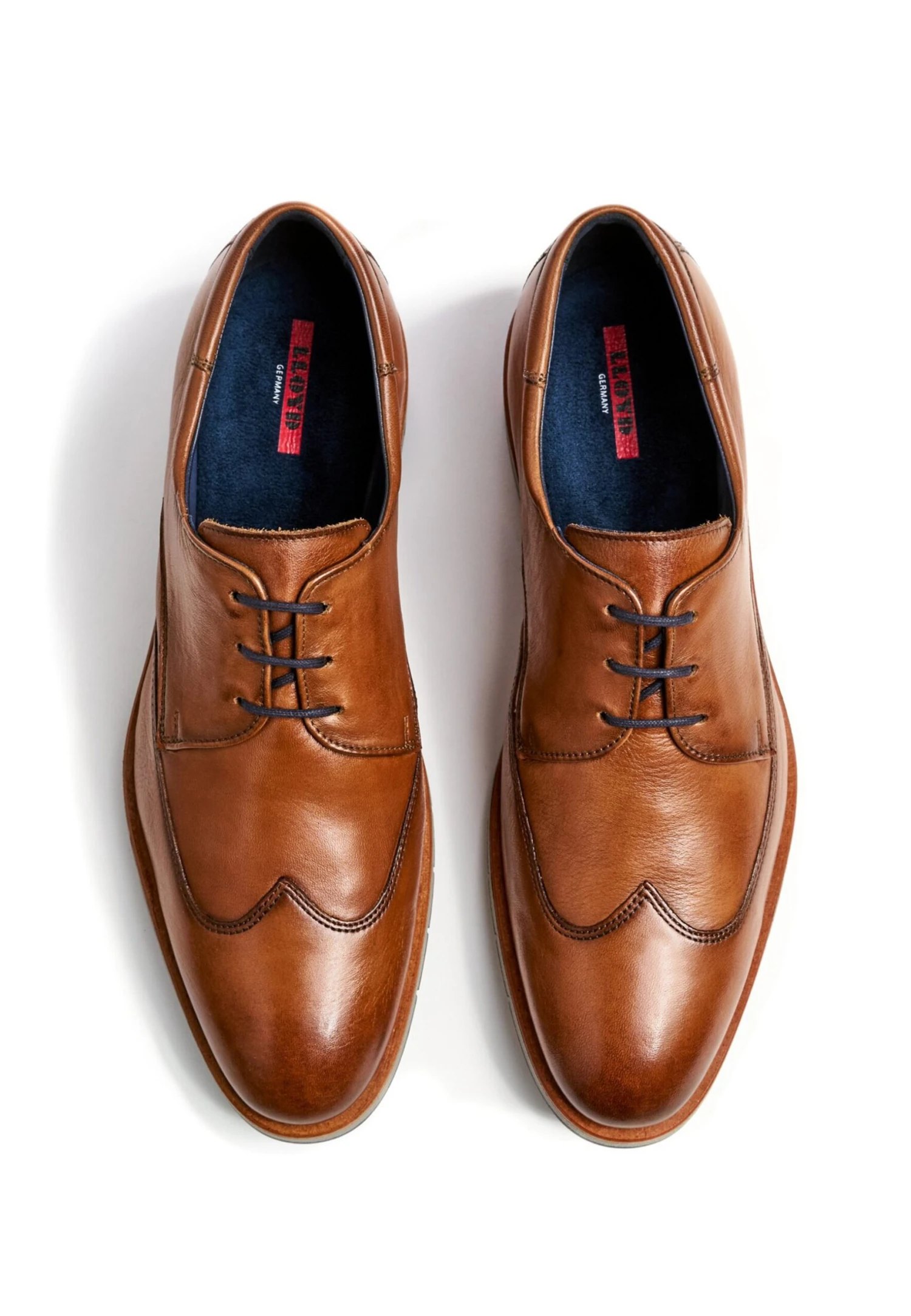 Lloyd Taylor - Stringate Eleganti - Braun 4 Lloyd Taylor - Stringate Eleganti - Braun - immagine 4