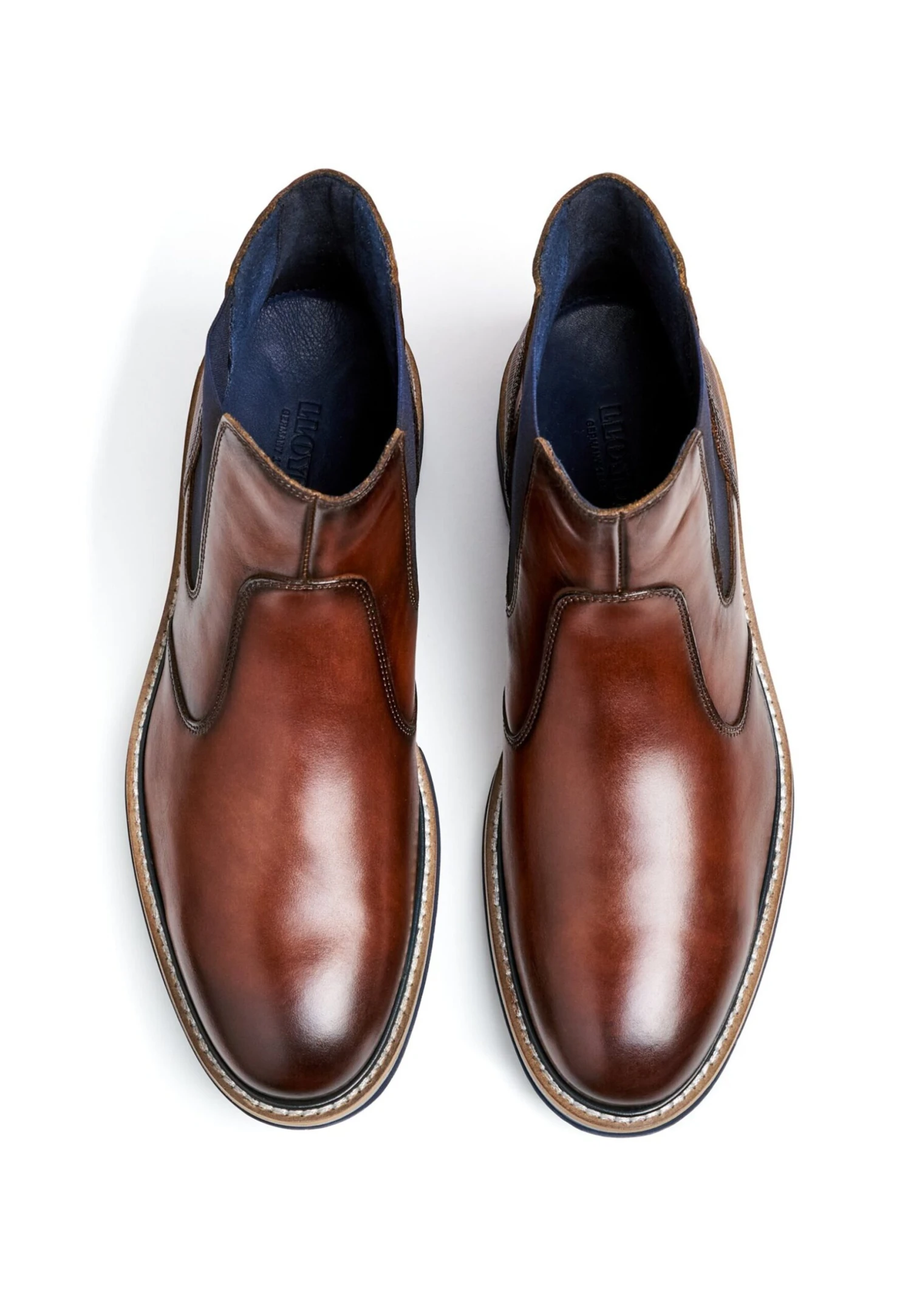 Lloyd Dexter - Stivaletti - Braun 3 Lloyd Dexter - Stivaletti - Braun - immagine 3